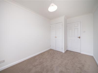 Picture 24